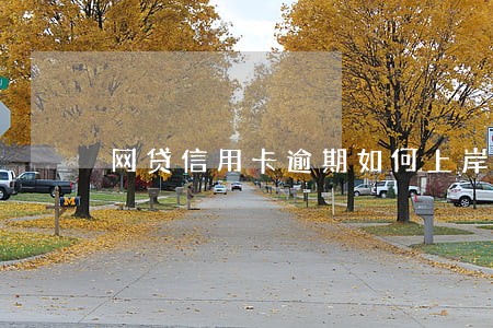 网贷信用卡逾期如何上岸 网贷信用卡逾期如何上岸