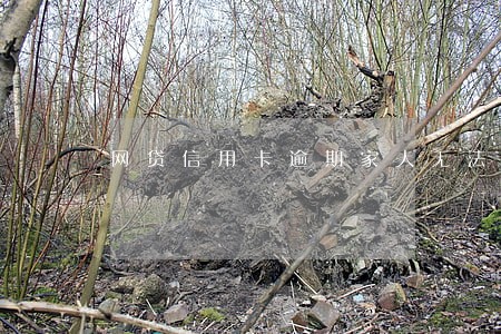 网贷信用卡逾期家人无法帮忙