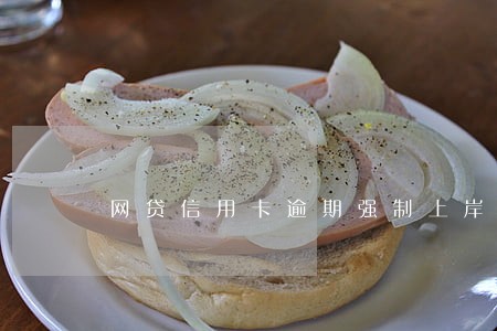 网贷信用卡逾期强制上岸 网贷信用卡逾期强制上岸