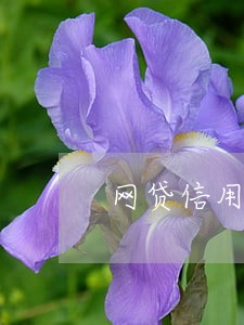 网贷信用卡逾期影响找工作吗 网贷信用卡逾期影响找工作吗