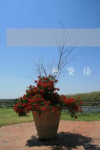 网贷信用卡逾期影响考试 网贷信用卡逾期影响考试