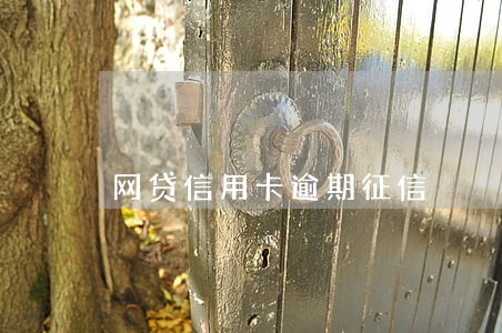 网贷信用卡逾期征信