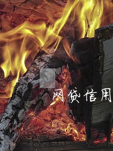 网贷信用卡逾期怎么合理 网贷信用卡逾期怎么合理