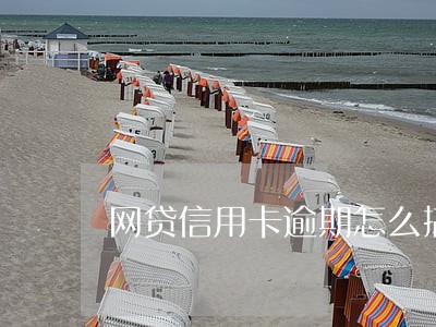 网贷信用卡逾期怎么搞 网贷信用卡逾期怎么搞