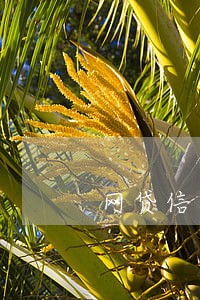网贷信用卡逾期怎么知道