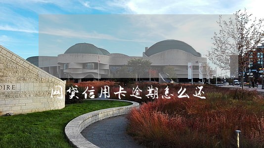 网贷信用卡逾期怎么还 网贷信用卡逾期怎么还