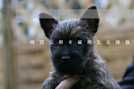 网贷信用卡逾期怎么降息 网贷信用卡逾期怎么降息