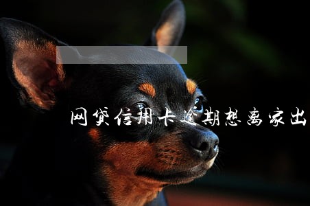 网贷信用卡逾期想离家出走 网贷信用卡逾期想离家出走