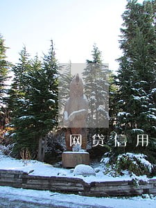 网贷信用卡逾期扣工资卡 网贷信用卡逾期扣工资卡