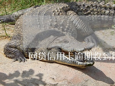 网贷信用卡逾期收到律师函怎么办 网贷信用卡逾期收到律师函怎么办