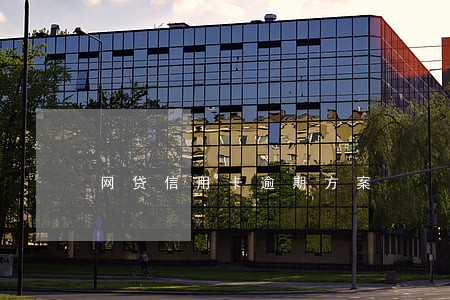网贷信用卡逾期方案 网贷信用卡逾期方案