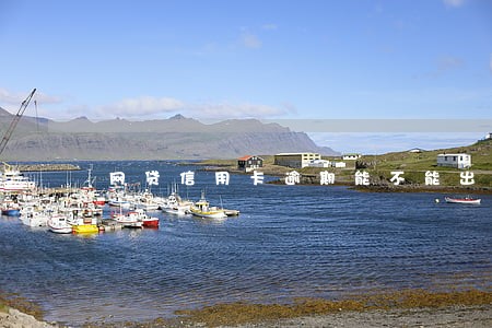 网贷信用卡逾期能不能出国旅游 网贷信用卡逾期能不能出国旅游