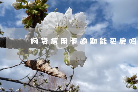 网贷信用卡逾期能买房吗 网贷信用卡逾期能买房吗