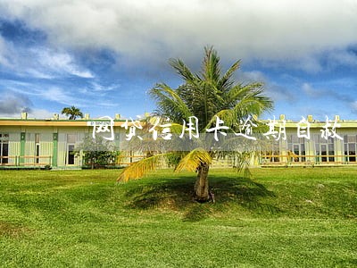 网贷信用卡逾期自救