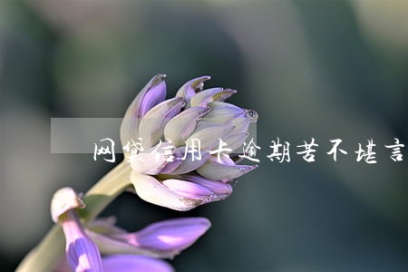 网贷信用卡逾期苦不堪言 网贷信用卡逾期苦不堪言