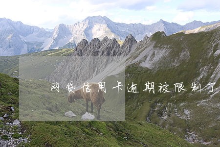 网贷信用卡逾期被限制了