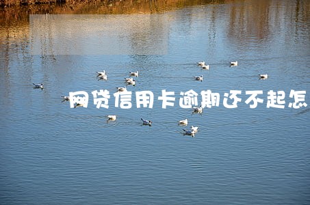 网贷信用卡逾期还不起怎么办 网贷信用卡逾期还不起怎么办