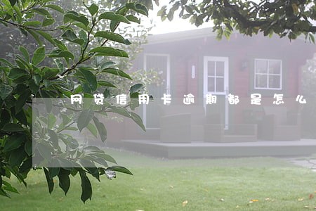 网贷信用卡逾期都是怎么活的 网贷信用卡逾期都是怎么活的