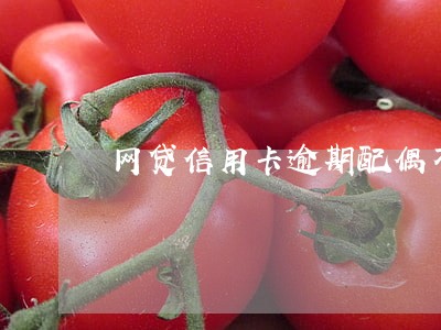 网贷信用卡逾期配偶不管 网贷信用卡逾期配偶不管