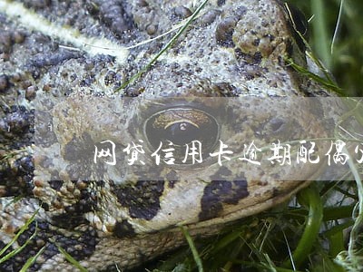 网贷信用卡逾期配偶父母 网贷信用卡逾期配偶父母
