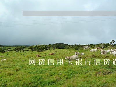 网贷信用卡银行信贷逾期