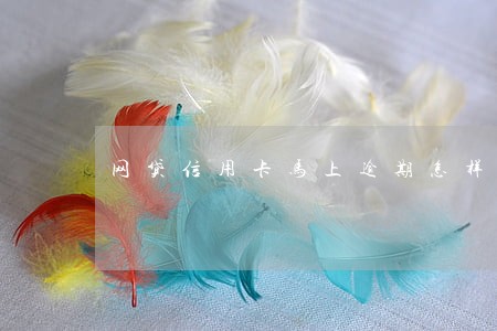 网贷信用卡马上逾期怎样坦白