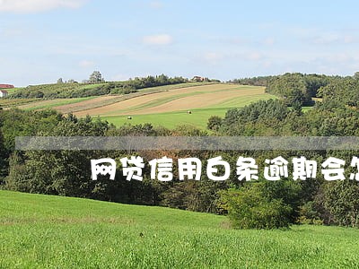 网贷信用白条逾期会怎么样