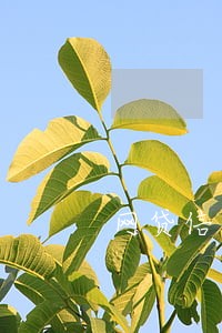 网贷信用评分不足逾期 网贷信用评分不足逾期