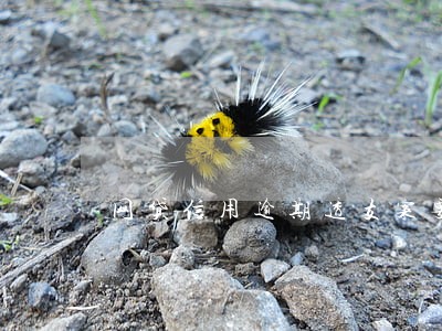 网贷信用逾期透支案要不要坐牢 网贷信用逾期透支案要不要坐牢