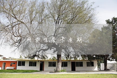 网贷信誉卡逾期