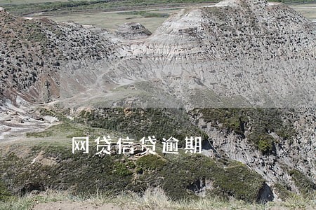 网贷信贷逾期 网贷信贷逾期