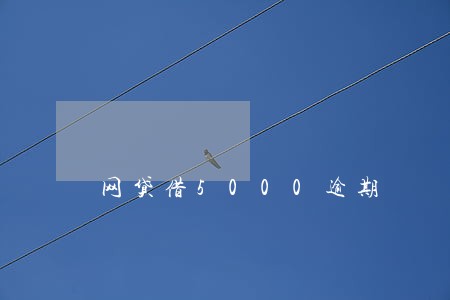 网贷借5000逾期