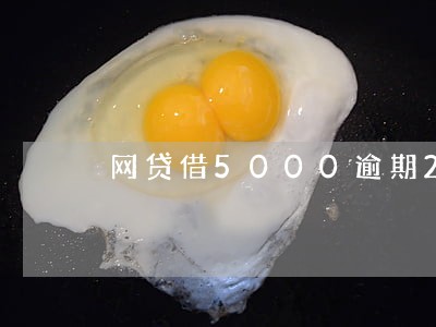网贷借5000逾期2年