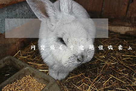 网贷借6千逾期催收要上门 网贷借6千逾期催收要上门