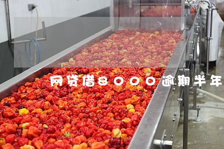 网贷借8000逾期半年了 网贷借8000逾期半年了
