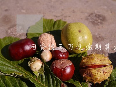 网贷借五万没逾期算大额吗 网贷借五万没逾期算大额吗