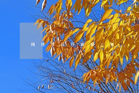 网贷借五万逾期三年 网贷借五万逾期三年