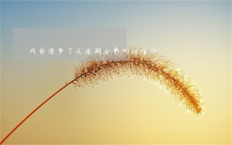 网贷借多了没逾期会影响征信吗 网贷借多了没逾期会影响征信吗