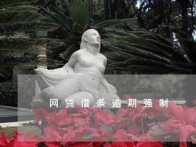 网贷借条逾期强制 网贷借条逾期强制