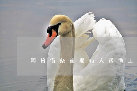 网贷借条逾期有人帮助上岸吗 网贷借条逾期有人帮助上岸吗