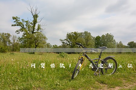 网贷借款14天逾期上征信 网贷借款14天逾期上征信
