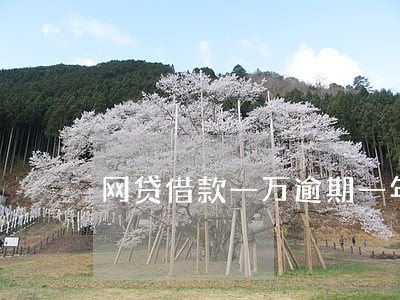 网贷借款一万逾期一年要还多少 网贷借款一万逾期一年要还多少