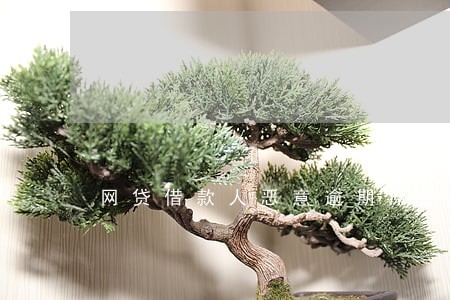 网贷借款人恶意逾期原因 网贷借款人恶意逾期原因
