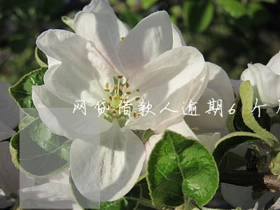 网贷借款人逾期6个月 网贷借款人逾期6个月