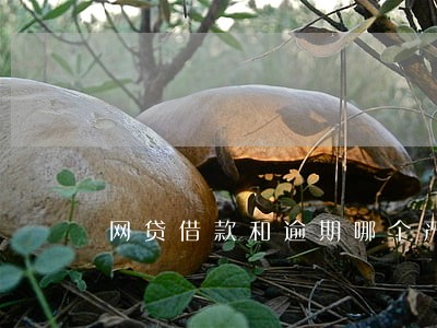 网贷借款和逾期哪个严重 网贷借款和逾期哪个严重