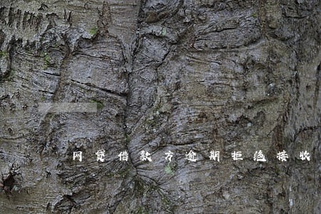 网贷借款方逾期拒绝接收电话 网贷借款方逾期拒绝接收电话
