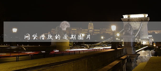 网贷借款的逾期图片 网贷借款的逾期图片