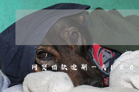 网贷借款逾期一天100合理吗 网贷借款逾期一天100合理吗