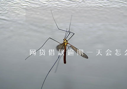 网贷借款逾期一天会怎么样