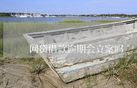 网贷借款逾期会立案吗 网贷借款逾期会立案吗